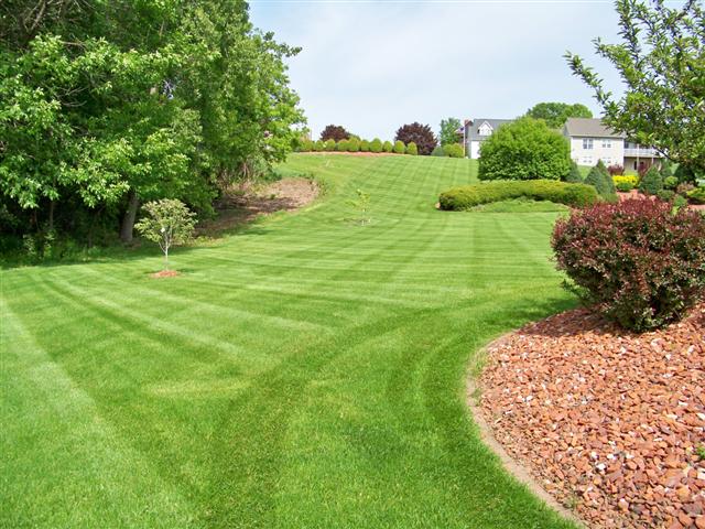 Very Beautiful Lawn with Lush Green Grass